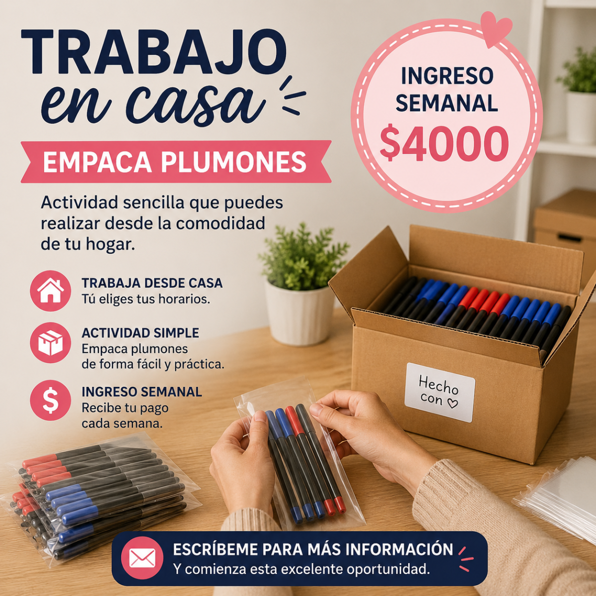 TRABAJO EN CASA DE LUNES A VIERNES